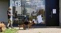 ЛКП «Лев» кличе волонтерів вигулювати собак