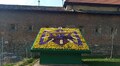 У Львові висадили перші квіти: 1408 штук віол заквітчали «квітковий годинник» біля пл. Митної