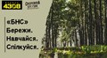 Прибрати ліс, опанувати тактичну медицину і поспілкуватися: Центр допомоги захисникам у Львові запрошує на велику толоку