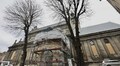 У Бернардинському дворику зріжуть два аварійні каштани, а на їх місце висадять 4 груші
