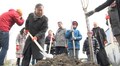 У Львові висадили 20 сакур, які місту подарувало Посольство Японії