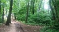 Парк та два озера в Львівській громаді матимуть балансоутримувача