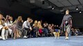 Пацієнти центру UNBROKEN взяли участь у показі інклюзивного одягу на Lviv Fashion Week