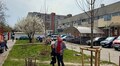 Дерева, які ростуть разом з мріями: у Львові сім'я військовослужбовця висадила у дворі зелений острівець