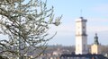 Львів’ян кличуть на безкоштовні екскурсії парками: реєстрація