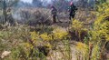 На 25−30 червня синоптики прогнозують у Львові надзвичайну пожежну небезпеку
