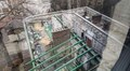 У Львові мешканець самовільно надбудовує поверх у будинку-пам’ятці: місто звернулося в правоохоронні органи 