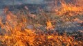 У найближчі дні збережеться висока пожежна небезпека: Гідрометцентр 