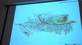 У Львові розповіли про пріоритетні кроки з покращення інфраструктури житлового мікрорайону «Збоїща»