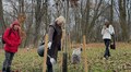 Тюльпанові дерева донькам, а дуби — синам: у Стрийському парку батьки висадили дерева на честь чотирьох дітей (відео)