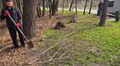 У громадах Львівської МТГ проводять перші весняні толоки