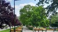 На Левандівці облаштують сквер: на вул. Я. Гніздовського – вул. Вигоди буде простір для відпочинку мешканців