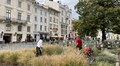 Садівники Львова упорядкували клумбу на площі Ринок