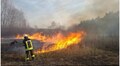 Синоптики попередили про високу пожежну небезпеку на 22 – 23 червня