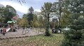 Сьогодні в парку Франка висаджують 6 дерев