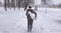 Через сильні морози лебедів з Левандівського озера тимчасово переселили в Домівку