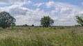 Львівська міська рада допомогла відстояти в суді збереження заказника «Торфовище Білогорща»