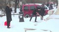 Працівники Львівської мерії долучились до прибирання міста від снігу