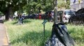 Щоб вберегти молоді дерева від спеки: працівники комунальних підприємств Львова встановлюють спеціальні мішки для поливу
