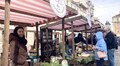 У центрі Львові запрацював Фермерський ярмарок