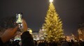 Цього тижня головну ялинку Львова розберуть