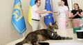 Цифрові рішення для громад: у Львові завершилася триденна Резиденція ідей