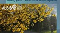Мешканців запрошують на екскурсію весняною Боднарівкою