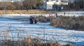 Львів’ян застерігають не виходити на кригу міських водойм