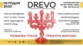 Львів’ян запрошують на театральний фестиваль DREVO та унікальну прем'єрою вистави «Розмова птахів»
