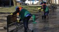 У Львові рекомендували не білити вапном дерева та бордюри