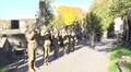 Прощання з Романом Лубківським