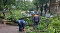 На площі святого Юра дерево пошкодило контактну мережу: тролейбуси № 22, № 30 та № 32 тимчасово курсують до пл. Кропивницького