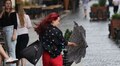 На завтра синоптики прогнозують у Львові поривчастий вітер