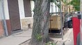 На вул. Б. Хмельницького, 28 видалять аварійні тополі: на кілька годин цю ділянку перекриють для руху транспорту