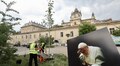 У Львові висадили тюльпанове дерево на честь 25-річчя візиту Папи Івана Павла ІІ