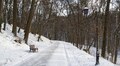 Новий парк з озером та 10 скверів офіційно оформили у 2024 році