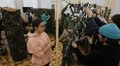 Вже завтра у Львові перший Форум волонтерства