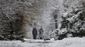 На завтра синоптики прогнозують у Львові ожеледицю