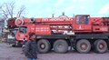 До Львова привезли головну ялинку міста