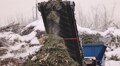 У Львові на міську станцію привезли 10 тонн хвої: з неї вже почали виготовляти компост
