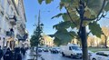 Рекламні щити замість дерев: висаджені на проспекті Свободи «кліматичні» дерева підприємці хочуть прибрати через суд