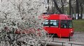 У Львові на лінії виїхали ще два трамваї з Берна