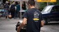 У Домівці врятованих тварин безкоштовно стерилізуватимуть котів та собак: шукають волонтерів
