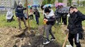 Сакури, клени, липи, граби, дуби та груші: у Львові за тиждень висадили понад 60 дерев та кущів