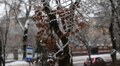 Синоптики прогнозують ожеледицю на 12 грудня