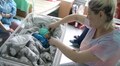 За час війни у міських пологових Львова народилося понад 7 тисяч немовлят