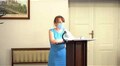 Місто прийняло рішення про видалення зелених насаджень для облаштування дороги на вул. Щеповій