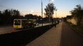 Вулицю Наукову відкрили для руху: міський транспорт курсує за звичними маршрутами