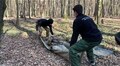 У Львові 200 старшокласників зіграли теренову гру біля зруйнованого музею Романа Шухевича