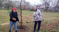 20 спонсорських кущів та дерев висадили у парках Шевченківського району